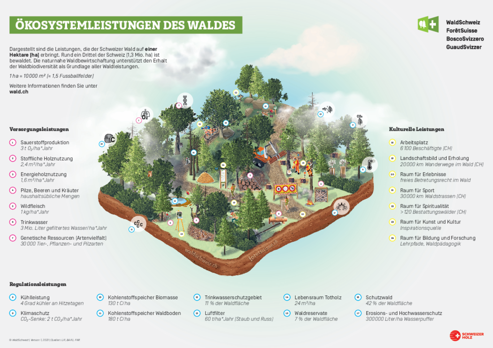 grafik-waldleistungen-a3-d.pdf