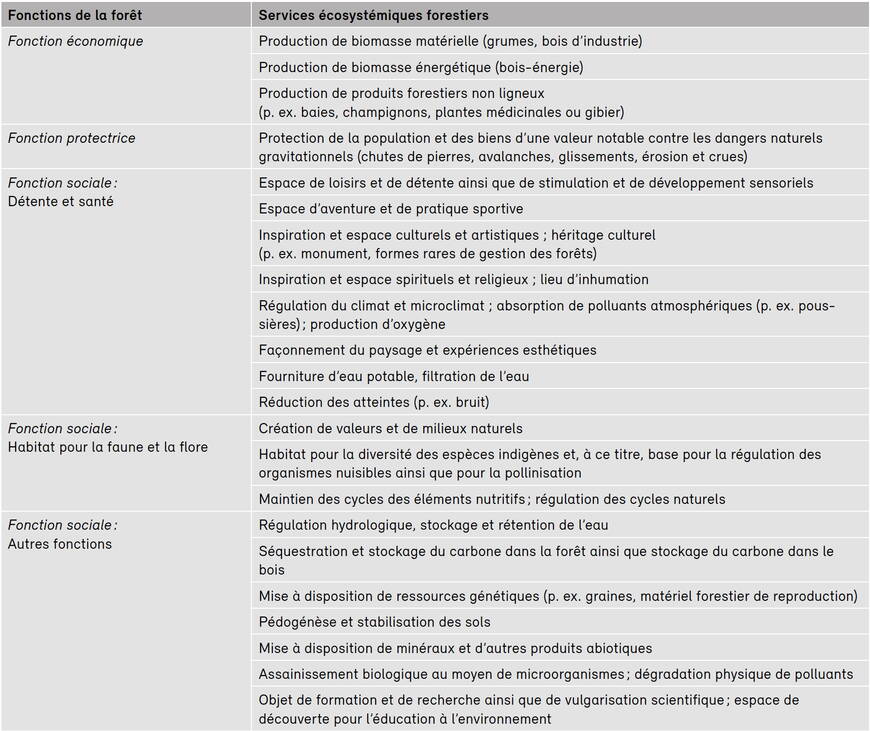 services-ecosystemiques-forestiers.jpg