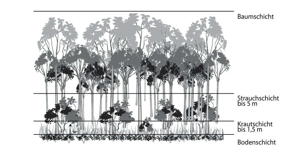 stockwerke_wald-2.png stockwerke_wald-2.png